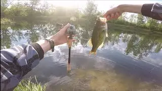 FAT BASS on Savage Gear Custom Predator and Prey 91