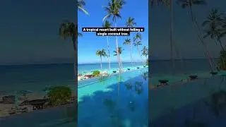 A tropical resort built without felling a single coconut tree. #thailand