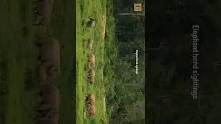 Hidden Gems of Uttarakhand & Thrill of Jim Corbett Safar