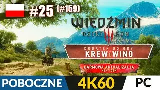 Wiedźmin 3 #159 / DLC: Krew i Wino #25 🐺 POB 🐎 Rycerz do wynajęcia | The Witcher 3 Gameplay 4K