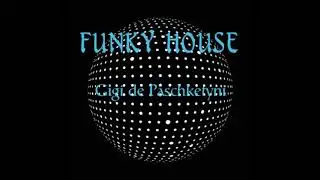The Best Funky House Mix 2019 / Mixed by Gigi de Paschketyni - Session16 +TRACKLIST