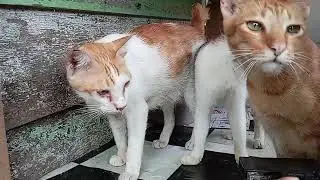 kami ditempat baru