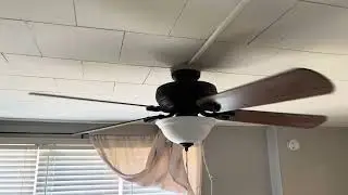 Hampton Bay Rothley ceiling fan