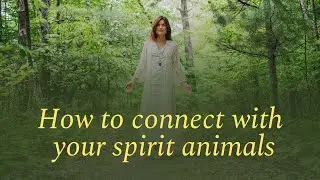 How to Connect with Your Spirit Animals