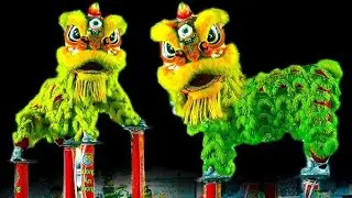 Múa Lân nhảy múa mai hoa thung cực hay 2025 lân sư rồng.