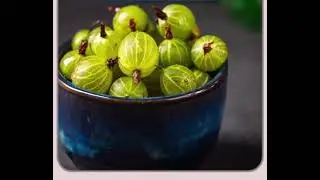 Amla best fruit  we make Amla products like barfi laddu juice Powder etc