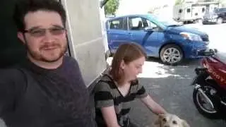 11 Tips For RVing With Pets