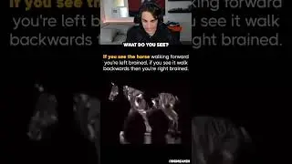 Is The Horse Walking Forwards Or Backwards