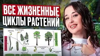 ЖИЗНЕННЫЙ ЦИКЛЫ ВСЕХ РАСТЕНИЙ  с нуля для ЕГЭ по биологии / Теория по БОТАНИКЕ из ЕГЭ по биологии