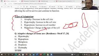 General Surgery & Pathology-BMDC by Neuron