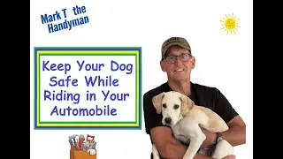 Dog Car Safety Bed Installation