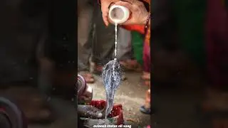 new status video  2 August 2022 Nag Panchami status new video full HD short  video