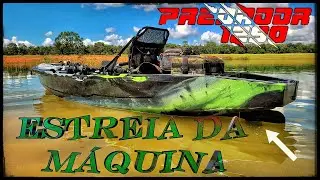 MELHOR CAIAQUES DE TODOS OS TEMPOS ?  Veja e saiba minha opinião !