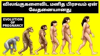 Why Hasn't Evolution Made Human Childbirth Easier | Tamil | Dr Science