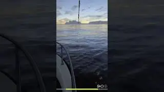 Норвежское море. Тролинг 80 банка. Русская рыбалка 4 #shorts #fishing #gaming #рыбалка