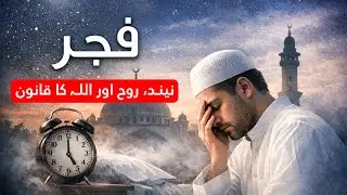 Why Your Soul Feels Dead at Fajr &mdash; The Sleep Science Allah Already Explained