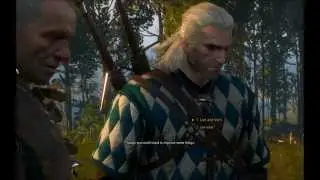 The Witcher 3: Wild Hunt (AMD Radeon HD 6800 Series, 1GB)