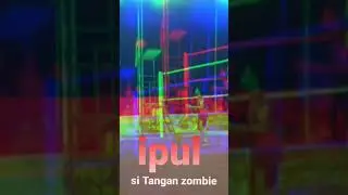 ipul 