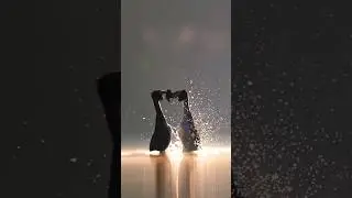 💃 El Baile Nupcial M&aacute;s Rom&aacute;ntico del Agua | Somormujo Lavanco🦆