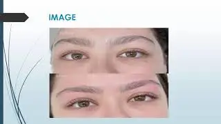 Best Brow Bar in The Cove