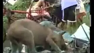can you watch this without crying :'( -3