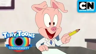 Hamton's First Day of Medical School 🏥 | Tiny Toons Looniversity | Cartoon Network