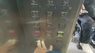 筲箕灣愛東邨愛旭樓OTIS升降機（1,2）