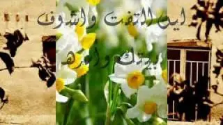 وردة النرجس / محمد غزاي المخلفي