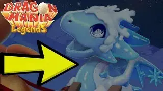 New SNOWFLAKE DRAGON?! ADORABLE Christmas Dragons! - DML #669