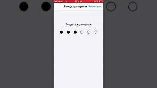 КАК НА iPhone С iOS 13.4.1 ВКЛЮЧИТЬ Touch ID В &laquo;Автозаполнение пароля&raquo;???