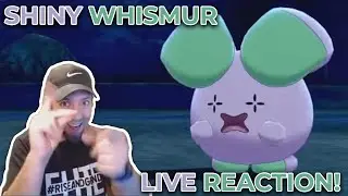 AYY SHINY WHISMUR AT 453 ENCOUNTERS! Live Reaction // Pokemon Shield // Isle of Armor