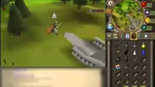 UPDATED - RunescapeRSPS AUTOSWITCHER! 2012.
