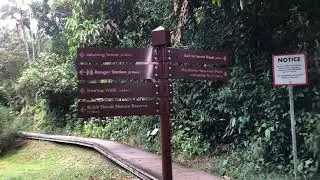 Singapore Central Catchment Reserve walking tour