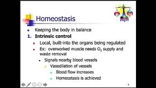Human Physiology Chapter 1 Homeostasis