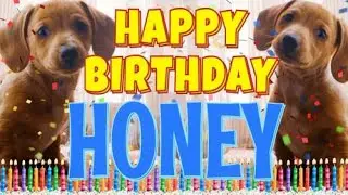 Happy Birthday Honey! ( Funny Talking Dogs ) What Is Free On My Birthday