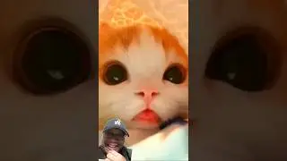 so much cuteness in 1 video