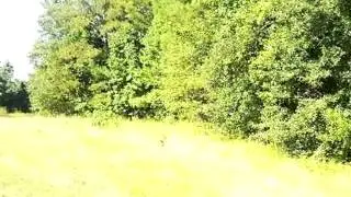 Homes for Sale - 350 Arthur Grimaud Way Appling GA 30802 - Marion Hester