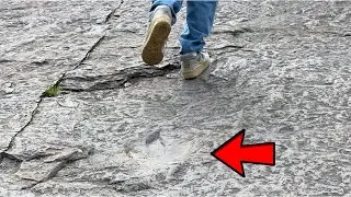 Dinosaurs in Massachusetts???