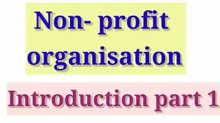 Non profit organisation |introduction | class 12 |cbse