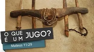 Mateus 11:29 - 
