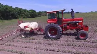 Spraying corn with the 856