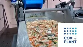 Vibratory Conveyors Feeding Multihead Weigher - Cox & Plant