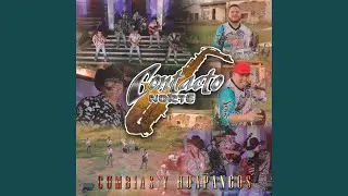 La Mayita (En Vivo)