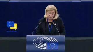 Carla Tavares: Defence and Social Cohesion Must Go Hand in Hand&mdash;Parliament Must Decide