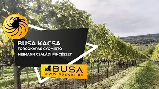 BUSA GYMF Forg&oacute;kap&aacute;s Gyomirt&oacute; - A kacsa