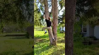 Bouldering addict?