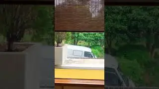 経木すだれロールスクリーン