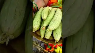 బీరకాయ.... 😀 | nethi beerakaya pachadi, recipes