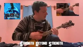 PANTERA 