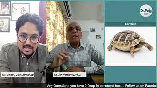 कछुओं #Turtle और #Tortoise में क्या क्या बीमारी होती है ? Difference, Diseases, Cause & Prevention